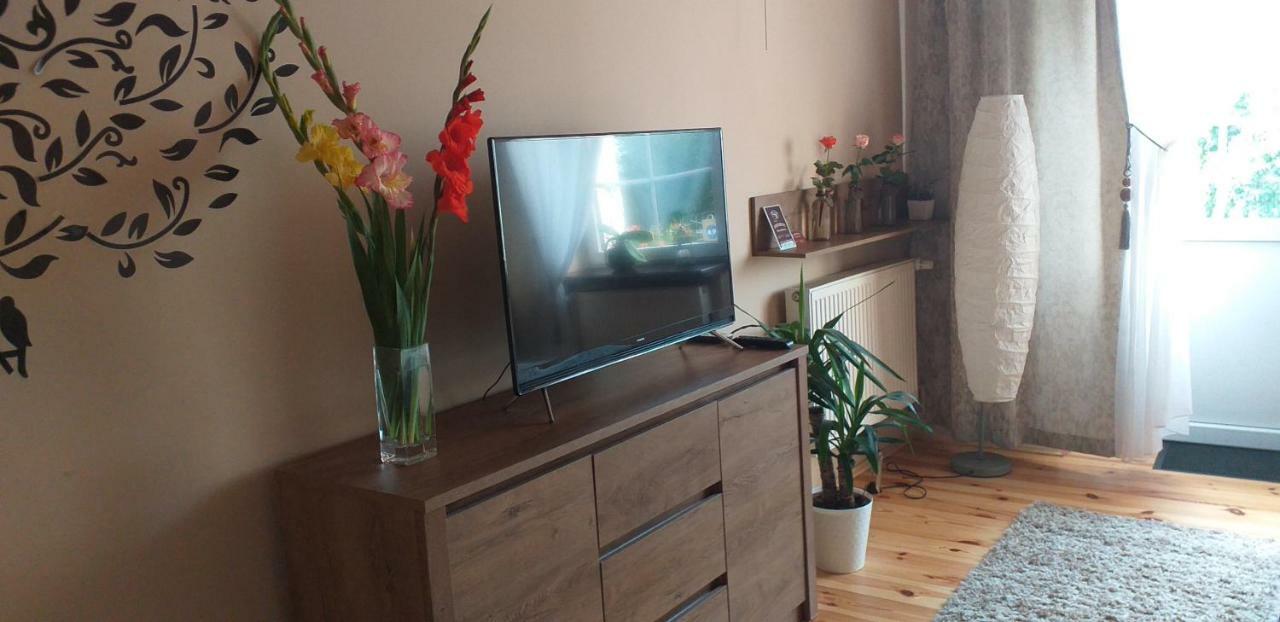 Apartamenty Przy Farze Kazimierz Dolny Luaran gambar